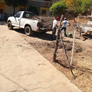 LIMPIEZA DE LA BARRANCA